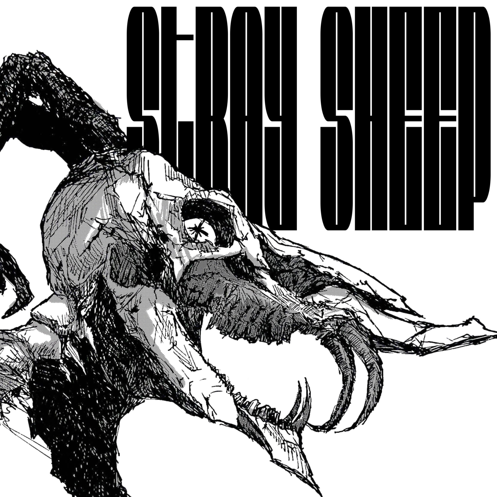 Stray Sheep